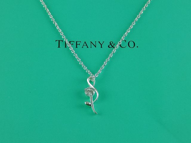 tiffany Necklace-404